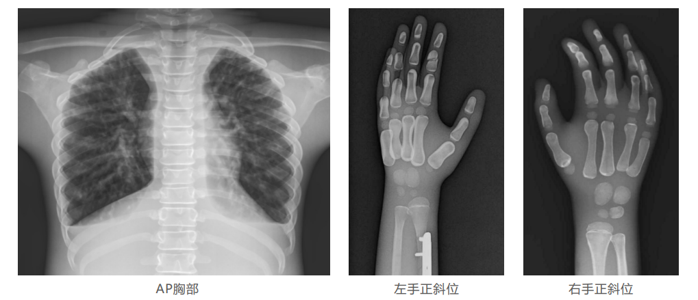 1736302812607 1736302812607