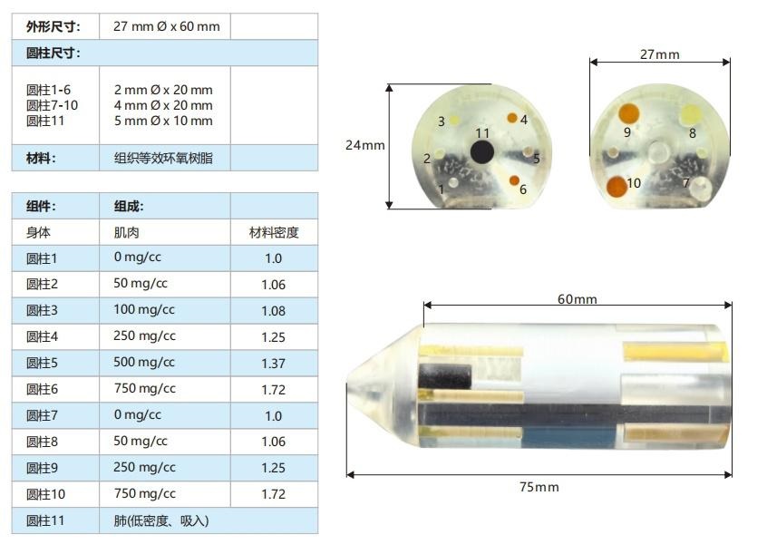 小鼠模體3 小鼠模體3