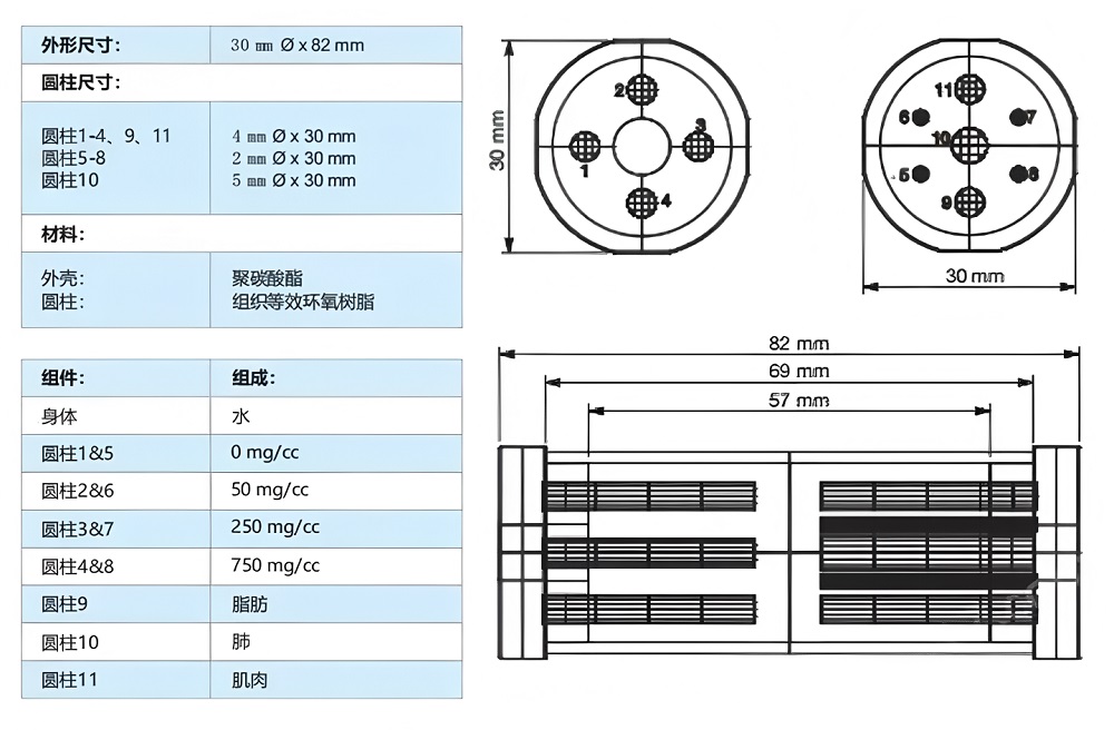 小鼠模型 5 小鼠模型 5