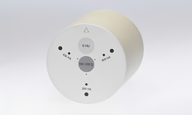 心臟校準鈣化物模體