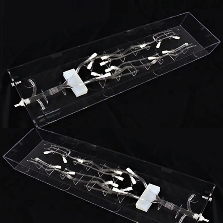 b496911fe26e7efca5f954df3f01c9d