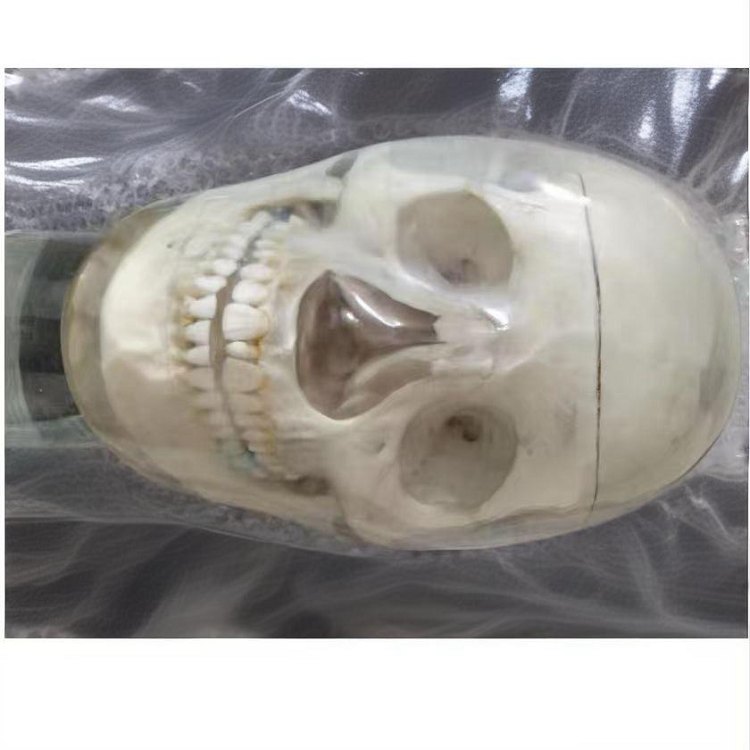 44c3844529c2ca41c0f0c67f247b618b_720