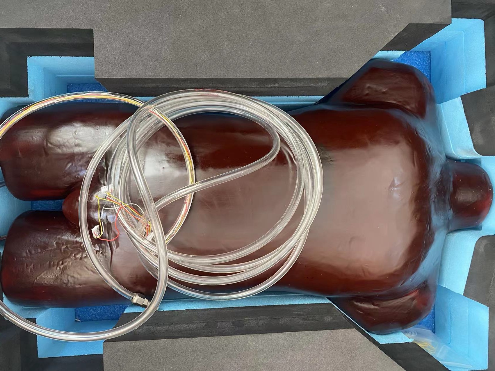 成人軀干模體-心肺運動軀干模體