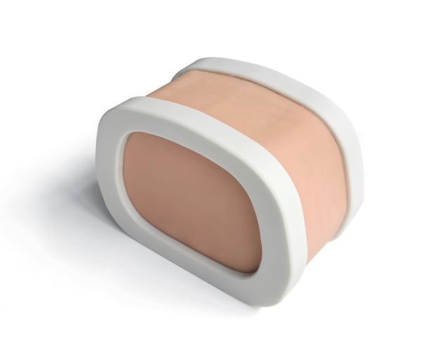 前列腺訓練模體